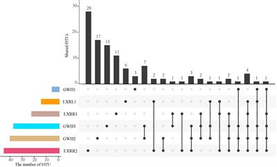 Diversity and Distribution of Anaerobic Ammonium Oxidation Bacteria in Hot Springs of Conghua, China